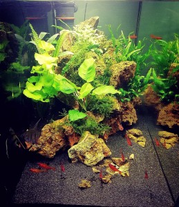 073 . Mérete: 80*35*40  (112l)