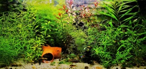 084 , 112l (80x40x35)