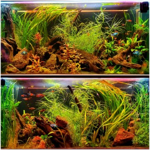 III. Helyezett : Varga Gergely. 1000 Liter nettó fali akvárium 2 oldalról látható 