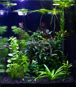 0800. 25x25x30 - 18 liter