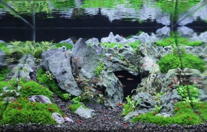 0240.  40 X 35 X 25 cm, 35 L