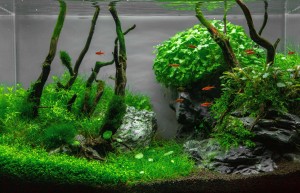 0770.  "Deep in a Canyon"