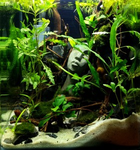 0860 . Denerle Nano Cube 25x25x30 