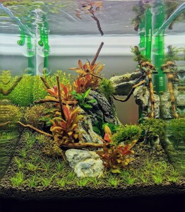 1450 . Egy pixel a természetből."