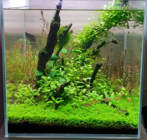 1290 . 35cmx35cmx35cm