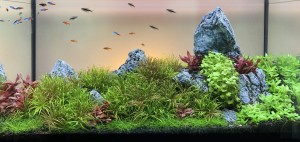 0150 . Akvárium méretei 80x35x40 cm (112L)