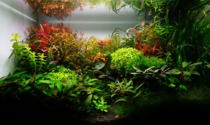 0820 .70*35*45 (h*sz*m)