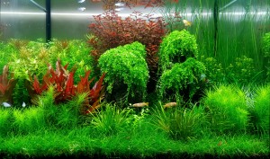 0610. Over the hills