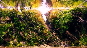 0110 . :Sunrise behind the hills