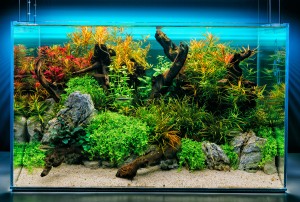 1090 . 78l (60x36x36)