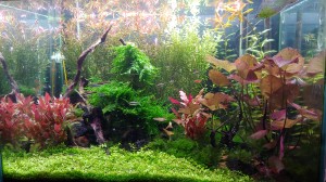 1440 . 130 literes CUBE 