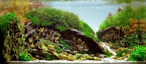 I. helyezett :  Lovas Attila