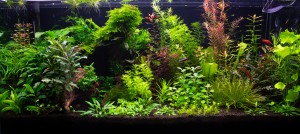 0740 . 90x40x40 144 liter