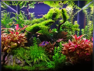 III. Helyezett : Bátyi Csilla