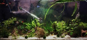 0580 . 130x60x40,  300L