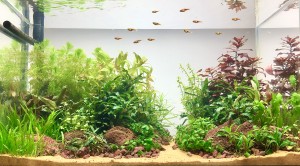 0700 . 64L opti white