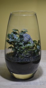 0550. Little piece of Borneo 