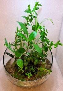 1380 . Íves félgömb