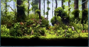 523. I . helyezett  Láng Viktor