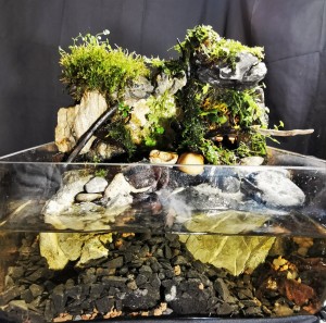 1460 . "Mini hegység"