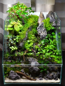 III . Helyezett : Kandrella Balázs