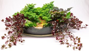 II. Helyezett : Szabó Krisztián