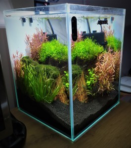 049.  Aqua el garnélás