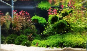 060. 45 x 30 x 30 cm