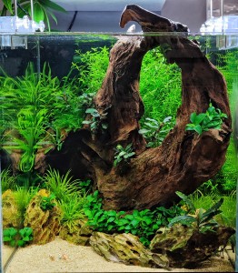 III . helyezett :  Erdős Márk