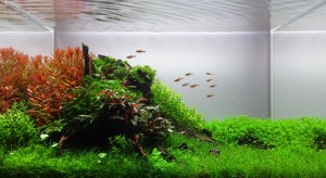 II .  helyezett : Takács Zoltán