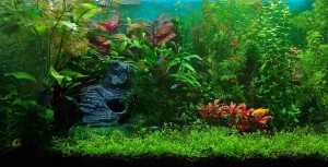 075 . 80x40x40 (128 L)