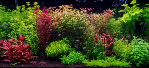 068. 100x50x50 (250l)