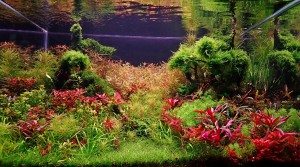 V. helyezett : Kovács László 