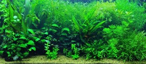 072 . 80x40x35 cm, 112 liter,