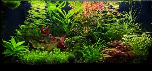 074 .  Csapvizes Színes TV