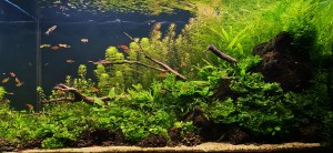 0128 .Triangle of colours