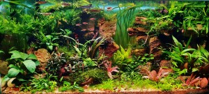 III . helyezett :  Marton Klaudia