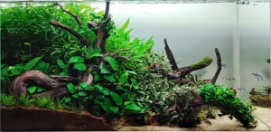 II .  helyezett : Erdős Márk